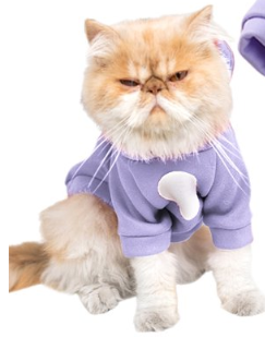 Thermal Pet Hoodie – Soft Winter Sweater with Hood for Dogs & Cats