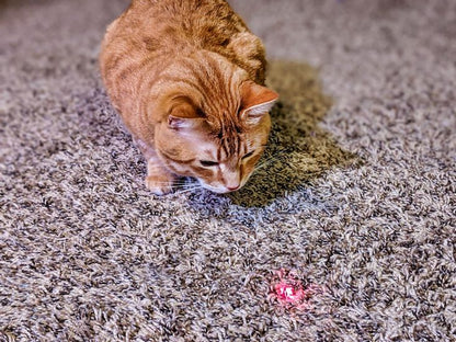 Smart Laser Cat Toy – Keeps Your Cat Active & Entertained